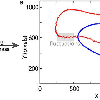 Image result for Centroid Tracking Algorithm