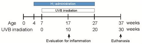 Molecular Hydrogen Attenuates Chronic Inflammation and Delays the Onset ...