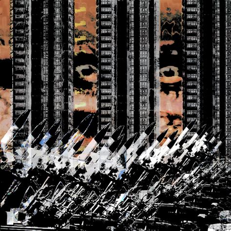 Eyes Of Cockroach | Roach | cockroach | Insect