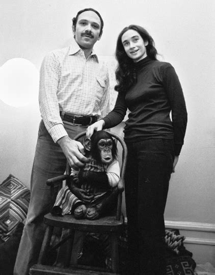 Image result for Chimp Learn Sign Language