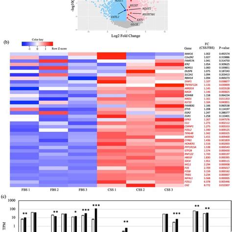 Volcano Plot Explained 的图像结果