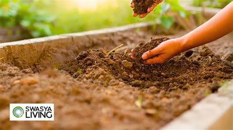 Soil Quality Indicators and How to Improve Them: A Comprehensive Guide ...
