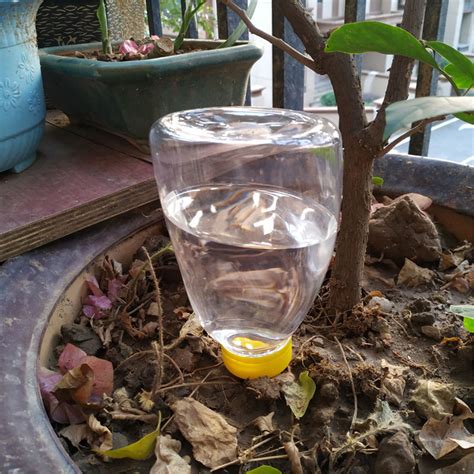 Buy IMSHIE 500ML Self Watering Spikes Large Capacity Plant Self Water ...