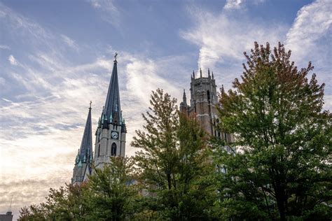 Graduate Program Rankings 的图像结果