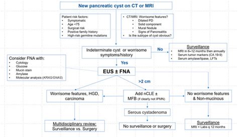 Diagnostics | Special Issue : Diagnosis and Management of Pancreatic Cysts