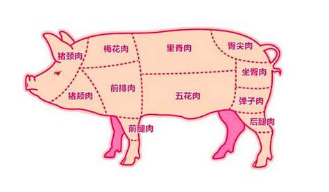 梅花肉在猪身上的哪个部位(梅花肉的位置图) — 未解之谜网