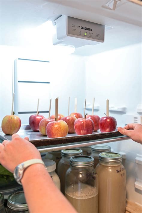 Guide to Storing Apples (Fresh & Crisp All Winter) — Homesteading Family