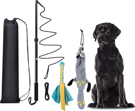 KOXXUD Flirt Pole Dogs, Dog Flirt Pole Extra Strong for Large Medium ...