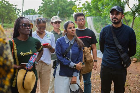 Image result for CIF Program