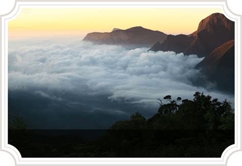 Tea Harvester Resort Munnar
