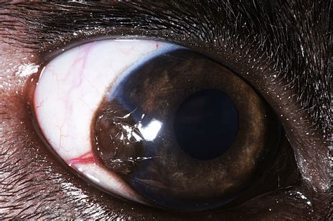 The Hairy Eyeball — ACVO Public