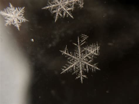 Image result for Snowflake Formation