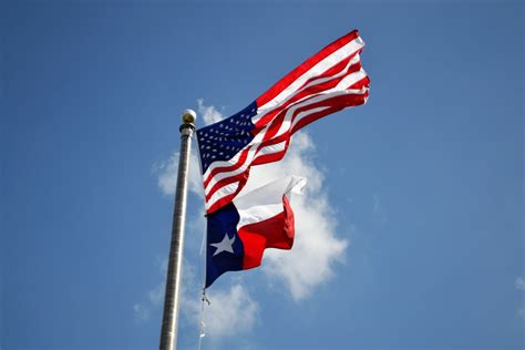 The Texas Pledge, State Pledges, and Texit