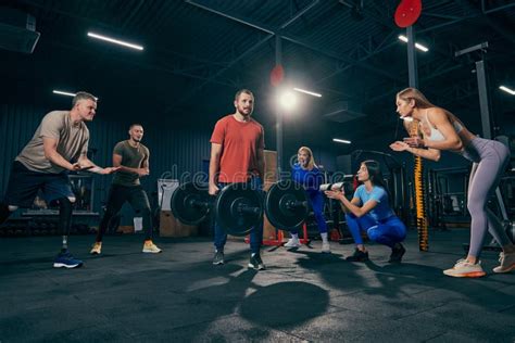 Sport Gym 的图像结果