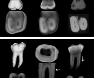 Dental Diagnostic Center