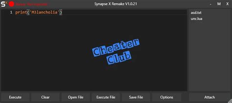 Image result for Synapse Z Script Executor