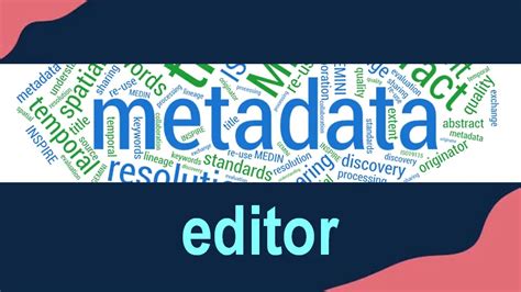 Metadata Editor 的图像结果