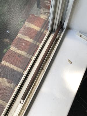 Vinyl Window Spring Repair 的图像结果
