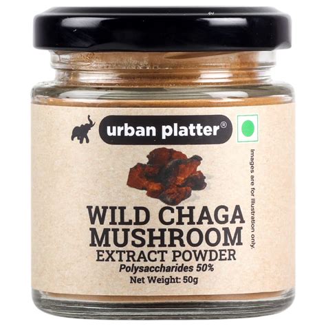 Urban Platter Wild Chaga Mushroom Extract Powder, 50g / 1.76oz ...