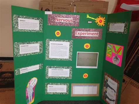 3rd Grade Science Fair Projects 的图像结果