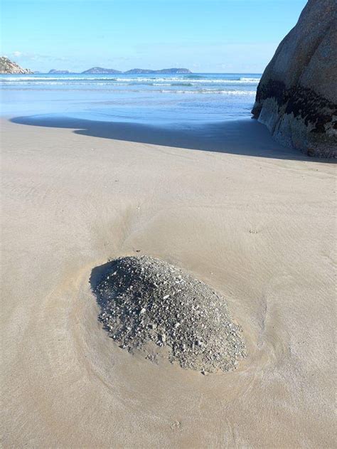 PROM MILL COTTAGES (Yanakie) - Cottage Reviews & Photos - Tripadvisor