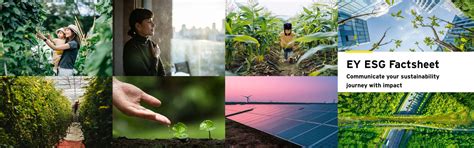 EY ESG Factsheet: Navigate climate change | EY - India