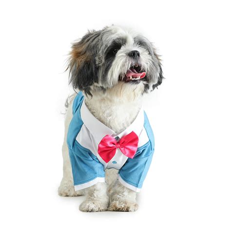 Barks & Wags Dog Suit or Dog Tuxedo, Pet Outfit for Dogs, Dog Clothes ...