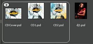 Group files together under a single thumnail in Bridge