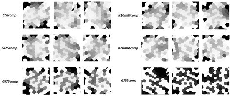 Identification of Distinct, Quantitative Pattern Classes from Emergent ...
