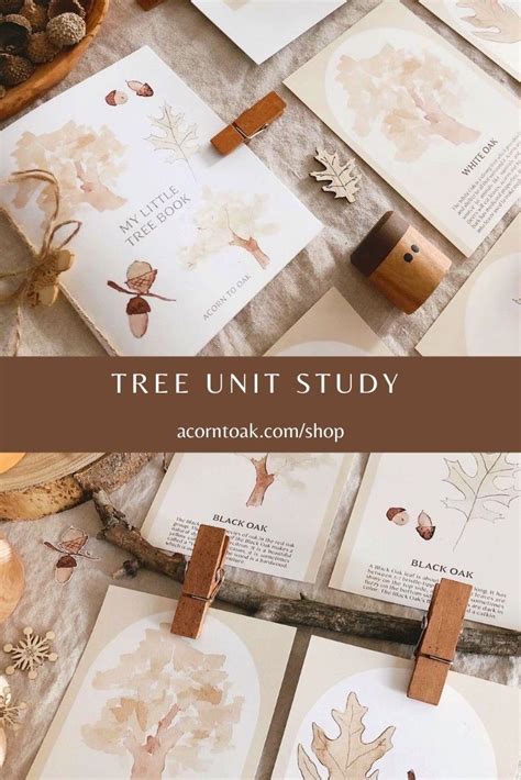 Tree Flashcard 的图像结果