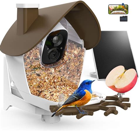 Amazon.com : birdsnap® P33 - Bird Feeder with Camera Solar Powered, 2K ...