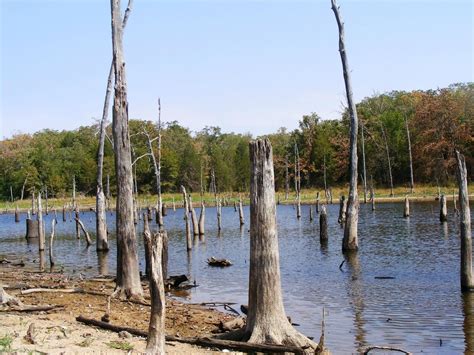 Eustace Tourism (2024): All You Need to Know Before You Go