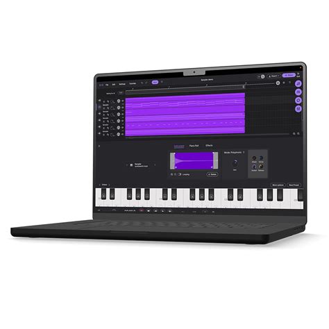 Raspberry Pi Sampler 的图像结果