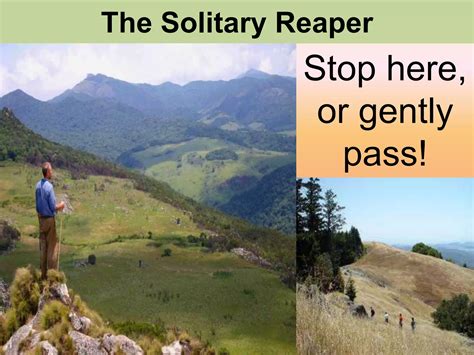 the solitary reaper | PPTX