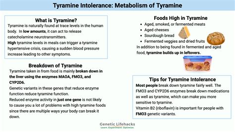 Foods High in Tyramine: Know Your Triggers