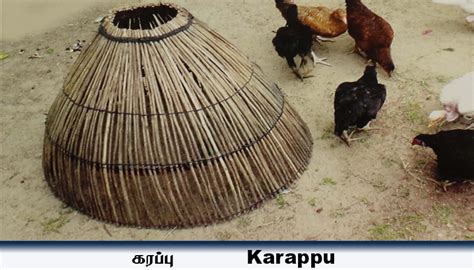 கரப்பு கோழிகளை பாதுகாப்பதற்கான கூடு - Tamil Heritage