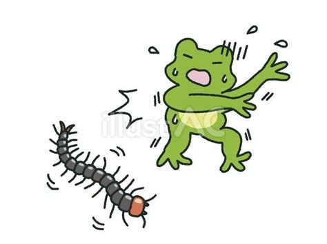 Image result for Python Coding Worksheets