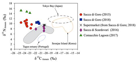 Traceability and Authentication of Manila Clams from North-Western ...