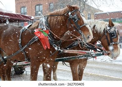 Image result for Simple Progress Note Example