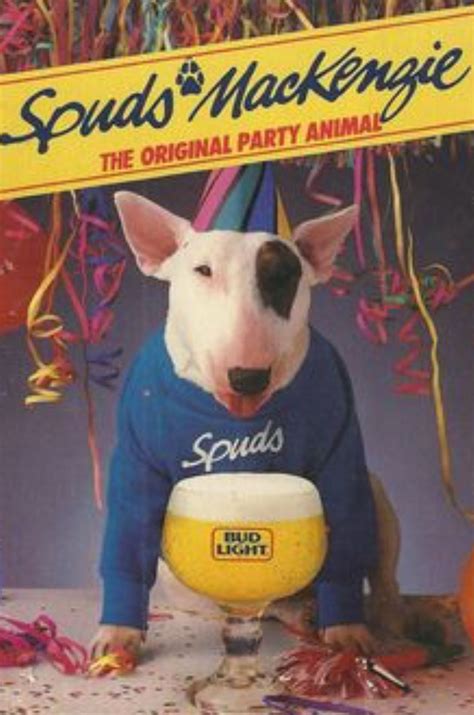 What Breed Dog Was Spuds Mackenzie at Jennifer Colbert blog