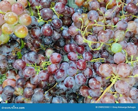 Piles and Clusters of Grapes Stock Photo - Image of plant, grape: 298923502