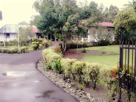 HOTEL ANGGREK (Nabire) - Hotel Reviews & Photos - Tripadvisor