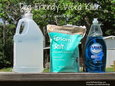 Vinegar And Epsom Salt Weed Killer Recipe at Garry Beckwith blog