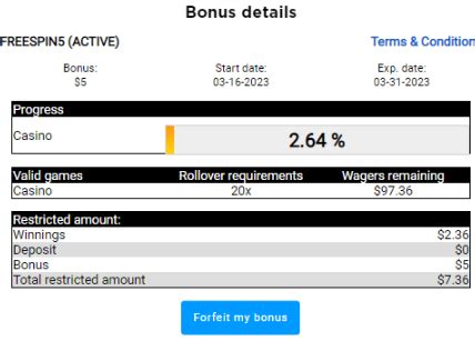 slotswinner cash bonuses guide,With countless options available