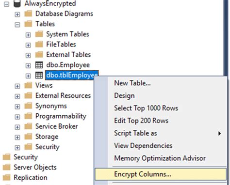 Image result for SQL Server Always Encrypted