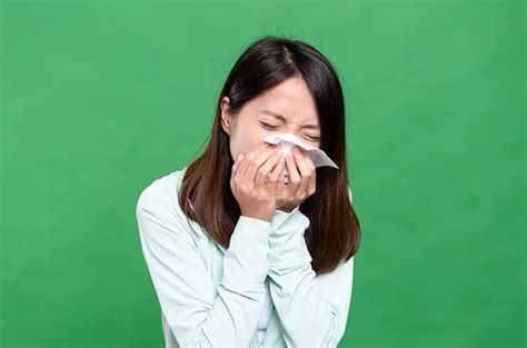 Image result for Data Definition Language Example