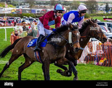 Point to Point Racing 的图像结果