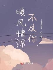 《暖风情深不及你》全文在线阅读_最新章节无删减_完结免费无弹窗 - 红袖读书