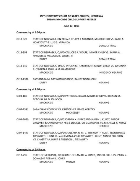 IN THE DISTRICT COURT OF SARPY COUNTY, NEBRASKA ...