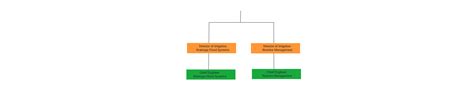 Test Organization Structure